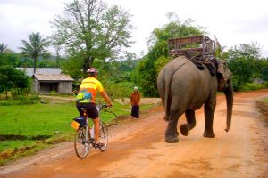 Cycling Tours in Vietnam